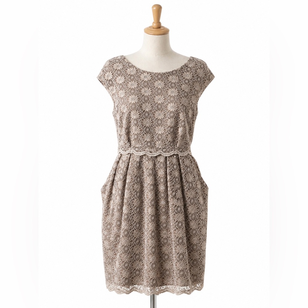 Alex Evenings Petite Taupe Lace Dress Size 12P Elegant Cap Sleeve